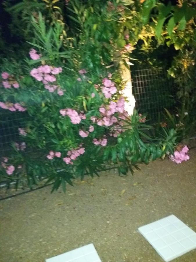 Eirini House Villa Drepano  Dış mekan fotoğraf